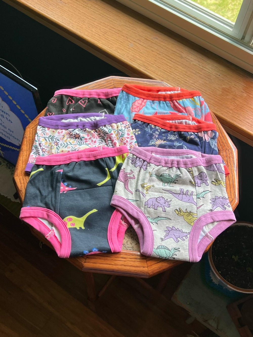 3T Big Elephant Training Underwear Set of 6